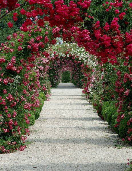 Beautiful #Garden Walkway <3