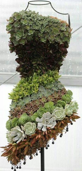 #succulents dress
Looking very pretty <3