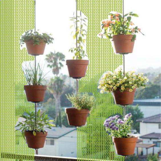 Hanging plant for your #indoorGarden looks beautiful <3