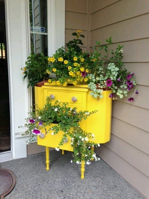 Unused cabinet as porch planter .
#garden #indoorgarden