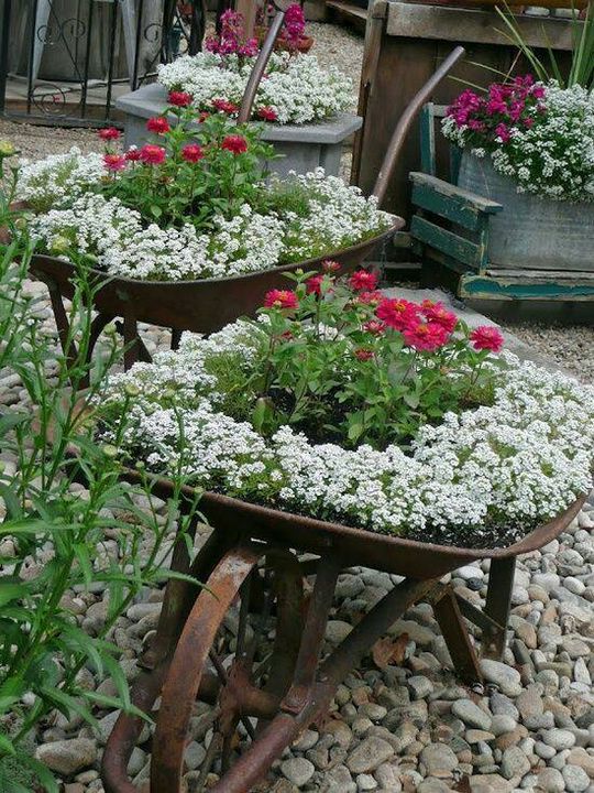 Garden containers.