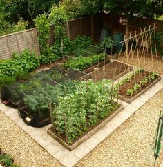Vegetable #garden layout for small space