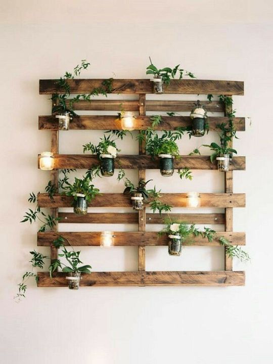 Nice #indoorgarden idea