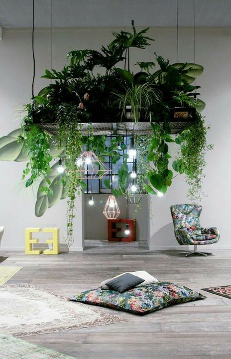 Great idea to display house plant