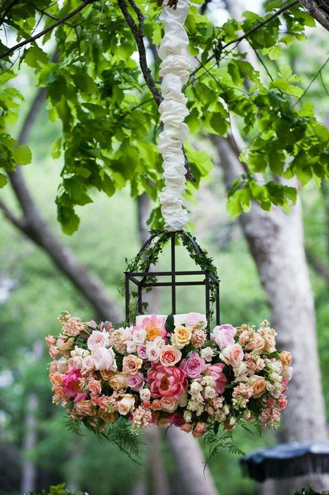 Beautiful hanging flower decoration idea.
#garden #gardening