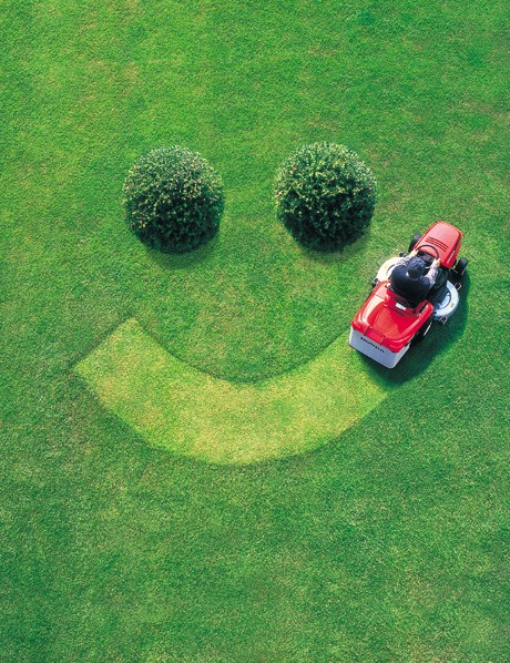 Useful tips on keeping your lawn beautiful and healthy