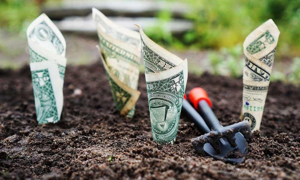 Money Saving #Gardening Tips for 2018 - Must Follow It