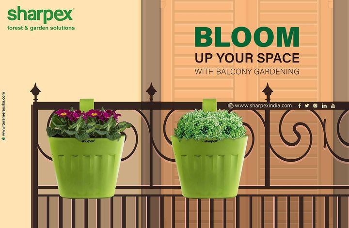 Bloom up your space with balcony gardening
www.sharpexindia.com
#Gardening #sharpexindia #balcony #sharpex #houseplant
https://amzn.to/2KcxcjP