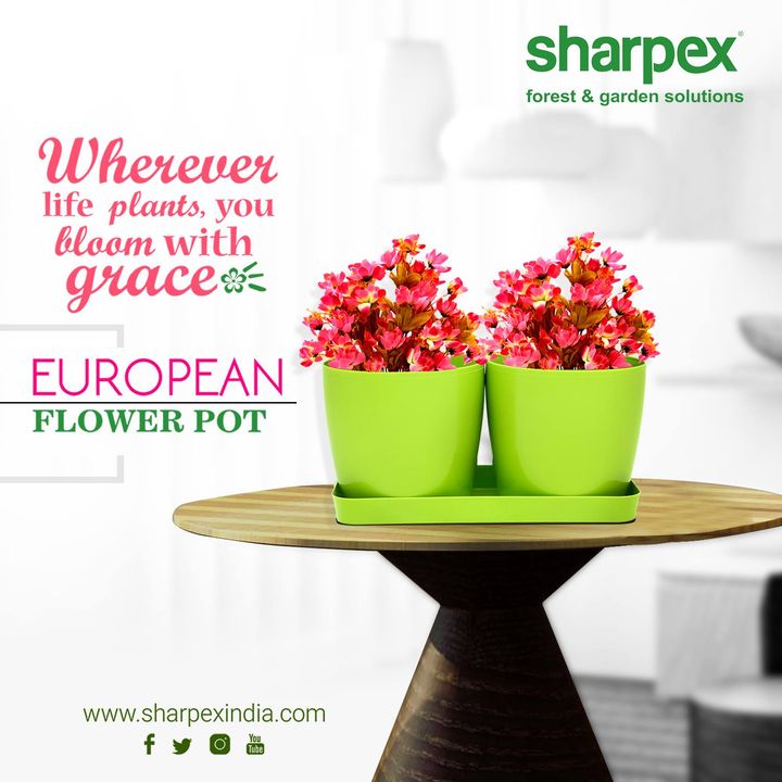 Sharpex Engineering,  gardening, gardeningproducts, flower, gardenproduct, gardenpot, happy, plantershelfstand, flowerpots, European