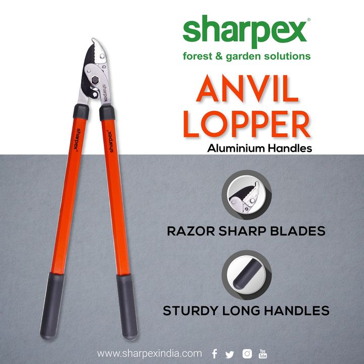Anvil Lopper

Long Handle with leverage reduces cutting effort by 50%. 
Provides easy cutting action.
Sturdy Aluminum Oval Tube handles. 
Teflon coated high carbon blade for fine finish cuts which prevent insects, germs & fungal infection to plant. 

https://sharpexindia.com/gardening/
https://sharpexindia.com/gardening/anvil-lopper-al-handles

#gardening #gardeningproducts #gardenproduct #gardenpot #happy #plantershelfstand #flowerpots #plant #garden #AnvilLopper