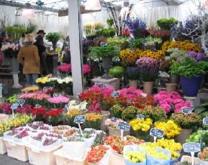 Floriculture is becoming a big business in India. Click on the link to know more. 