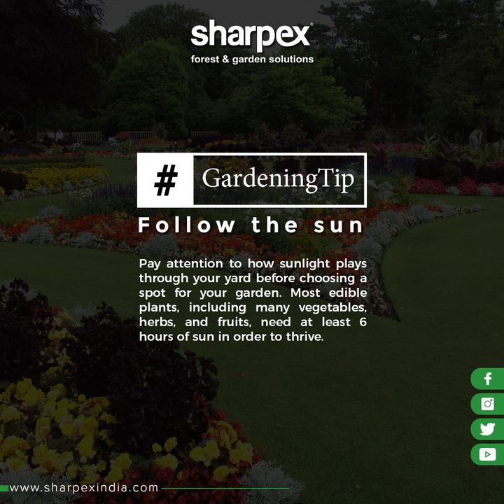 Follow the sun.
Misjudging sunlight is a common pitfall when you're first learning to garden. Pay attention to how sunlight plays through your yard before choosing a spot for your garden. Most edible plants, including many vegetables, herbs, and fruits, need at least 6 hours of sun in order to thrive.

#GardeningTips #GardeningTools #ModernGardeningTools #GardeningProducts #GardenProduct #Sharpex #SharpexIndia