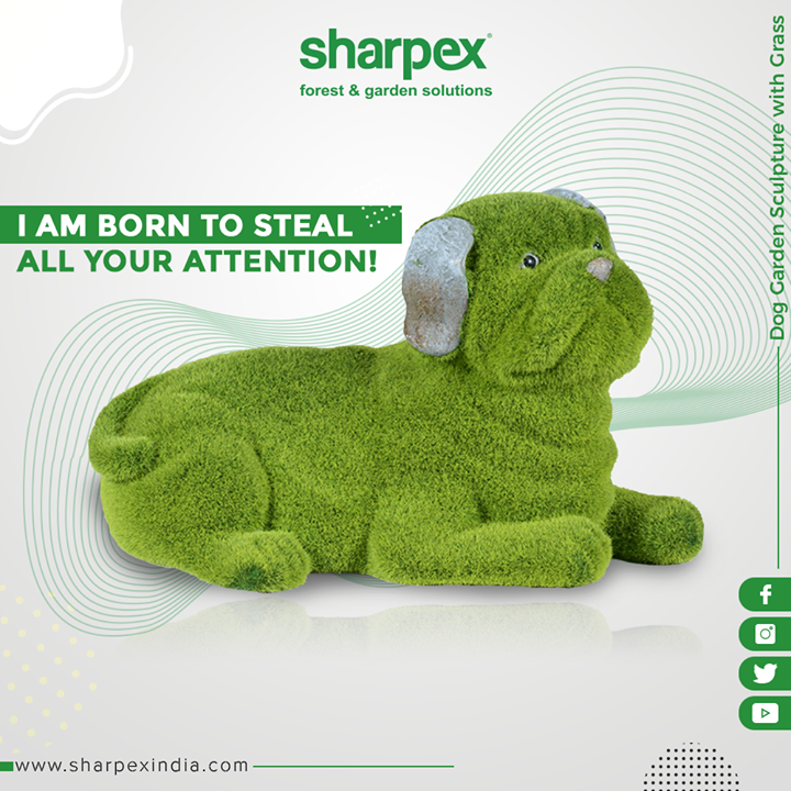 He is designed to steal all your attention. Connect us to own this creatively designed garden sculpture! 

#GardenSculpture #GardeningTools #ModernGardeningTools #GardeningProducts #GardenProduct #Sharpex #SharpexIndia