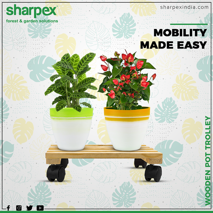 A multipurpose garden trolley that can help you move and shift flower pots or any type of item in your garden with ease.

#GardeningTools #ModernGardeningTools #GardeningProducts #GardenProduct #Sharpex #SharpexIndia