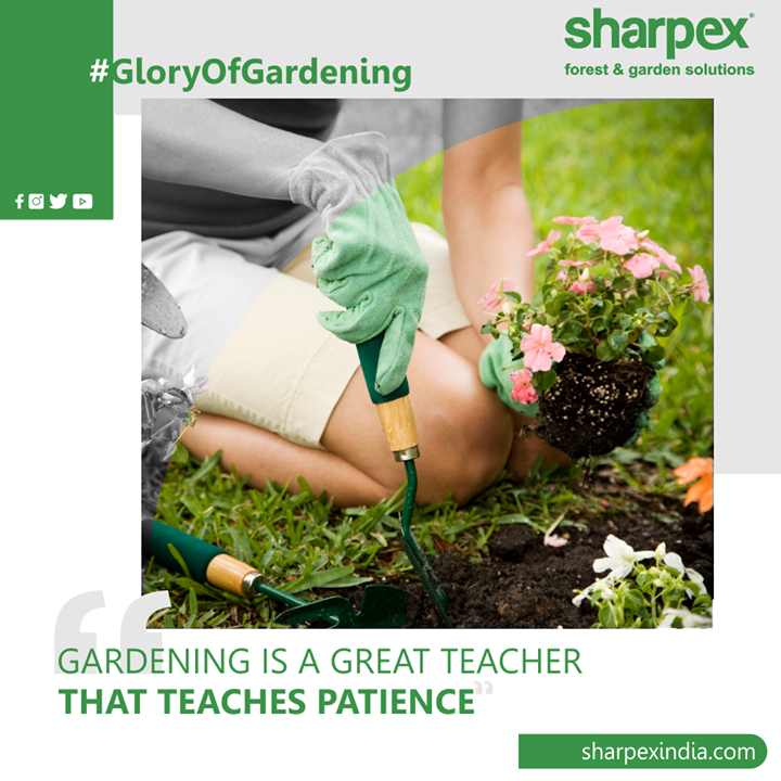 Lacking patience in life and willing to develop a new hobby that will help you to be calm & patient?

Gardening is a great teacher that teaches patience.

#GloryOfGardening #GardeningTools #ModernGardeningTools #GardeningProducts #GardenProduct #SharpexIndia