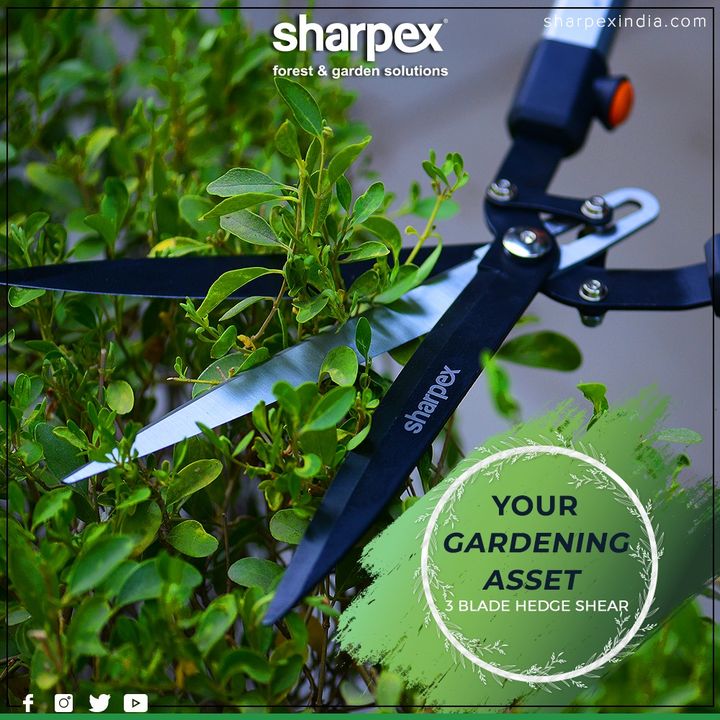 The 3blade hedge shear is an asset for every gardener; use them with pleasure and achieve the desired precision.

#GardeningTools #ModernGardeningTools #GardeningProducts #GardenProduct #SharpexIndia