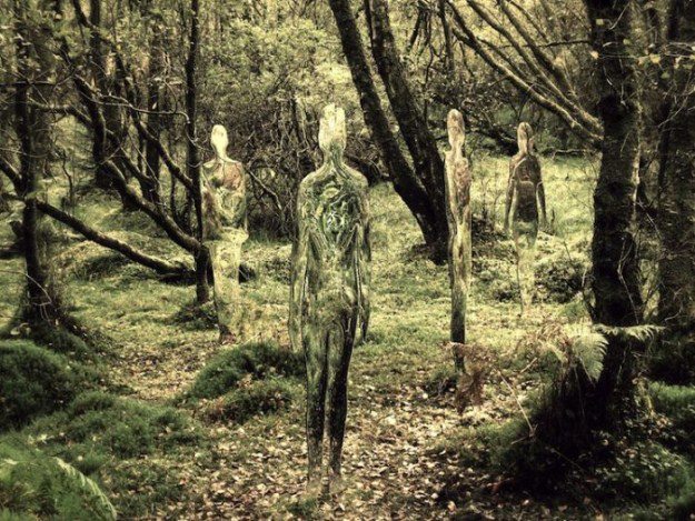 Invisible statues of Plexiglass in the forest park using a rare material. The main working material is PMMA that can distort the reflection of light, thus, the effect of partial invisibility.