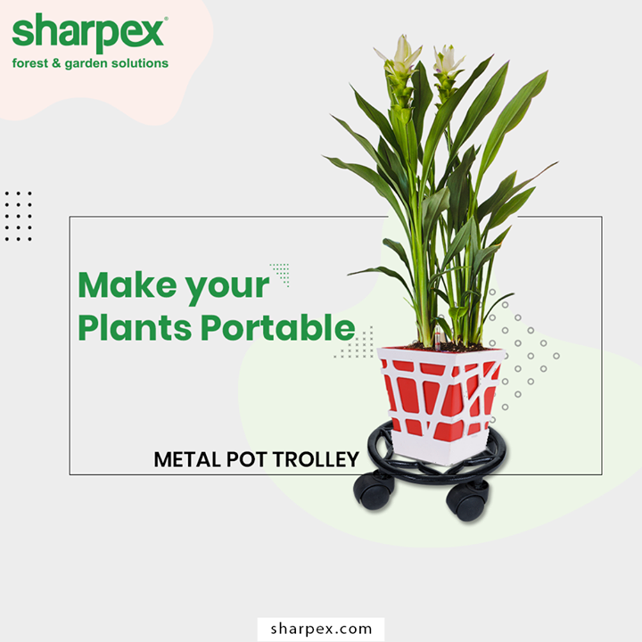 Plant stand with elegant design and minimalist style, wrought iron lines, thickened, providing strong support for plants, brightens up your home and garden. Let your flower bloom with this beautiful and practical planter stand on the time!

#GardeningTools #ModernGardeningTools #GardeningProducts #GardenProduct #Sharpex #SharpexIndia