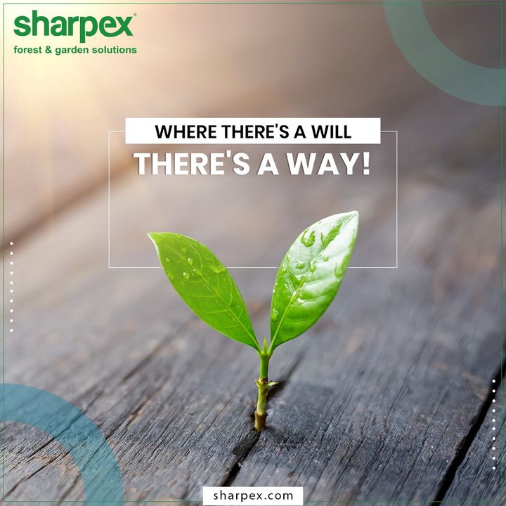 Rule out every other excuse not to choose gardening as your hobby. No matter whether you live in a lavish bungalow or an apartment, if you have the will-power to plant gardening will always have a way.

#QOTD #GardeningTools #ModernGardeningTools #GardeningProducts #GardenProduct #Sharpex #SharpexIndia