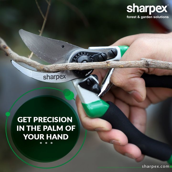 Pruning not only helps in keeping your landscaping beautiful, but it is also necessary to promote healthy growth for the trees. 

Get quality and precision in the palm of your hand by purchasing the right secateurs from Sharpex Gardening Community.

#GardeningTools #ModernGardeningTools #GardeningProducts #GardenProduct #Sharpex #SharpexIndia