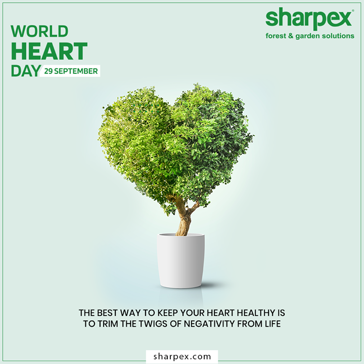 The best way to keep your heart healthy is to trim the twigs of negativity from life.
 
#WorldHeartDay #HeartDay #HealthyHeart #WorldHeartDay2020 #GardeningTools #ModernGardeningTools #GardeningProducts #GardenProduct #Sharpex #SharpexIndia