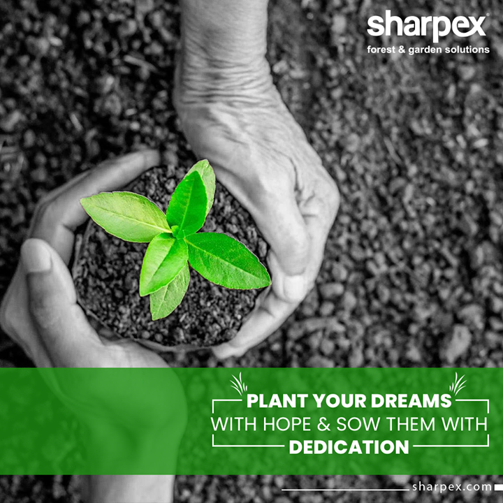 Looking for some motivation for the day?
Plant your dreams with hope & sow them with dedication.

#PlantationMotivation #PlantYourDreams #JoyOfGardening #GardeningTools #ModernGardeningTools #GardeningProducts #GardenProduct #Sharpex #SharpexIndia