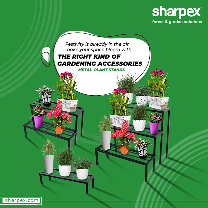 What can enhance the aesthetic beauty of your space better than the properly arranged, lush-green house-plants?

Festivity is already in the air; make your space bloom with the right kind of gardening accessories from Sharpex Gardening Community

#SharpexGardeningCommunity
#ModernGardeningTools #GardeningProducts #GardenProducts #Sharpex #SharpexIndia