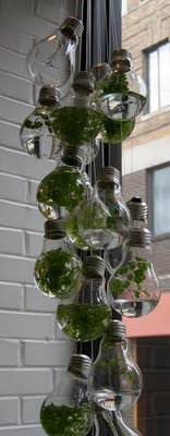Don’t throw away those old light bulbs. This easy DIY will brighten up your home decor or workspace. It is a simple DIY, but given that it involves working with glass, be sure to take the necessary safety precautions.