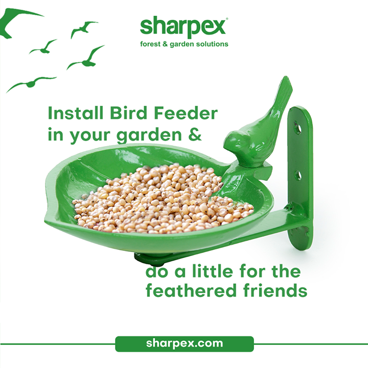 A little care, kindness and benevolence will make the world a better place.

Install the durable and long lasting bird feeder in your garden, balcony or backyard to feed the hunger of the feathered friends around.

#TheBirdFeeder #GardeningAccessories #GardeningTools #ModernGardeningTools #GardeningProducts #GardenProducts #Sharpex #SharpexIndia