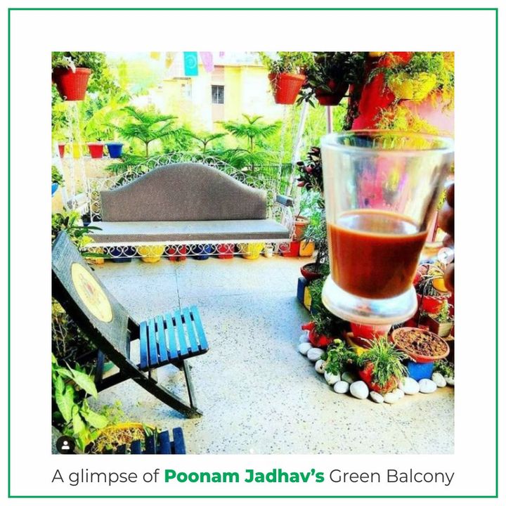 Here's a glimpse of Poonam Jadhav’s Green Balcony who has become the winner of My Balcony Contest.
Congratulating her for the victory!

#ContestWinner #MyGreenBalconyContest #FlauntYourPlants #GardeningAccessories #GardeningTools #ModernGardeningTools #GardeningProducts #GardenProducts #Sharpex #SharpexIndia