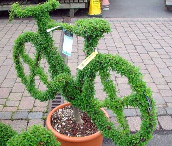 decorate your garden with artistic garden pot