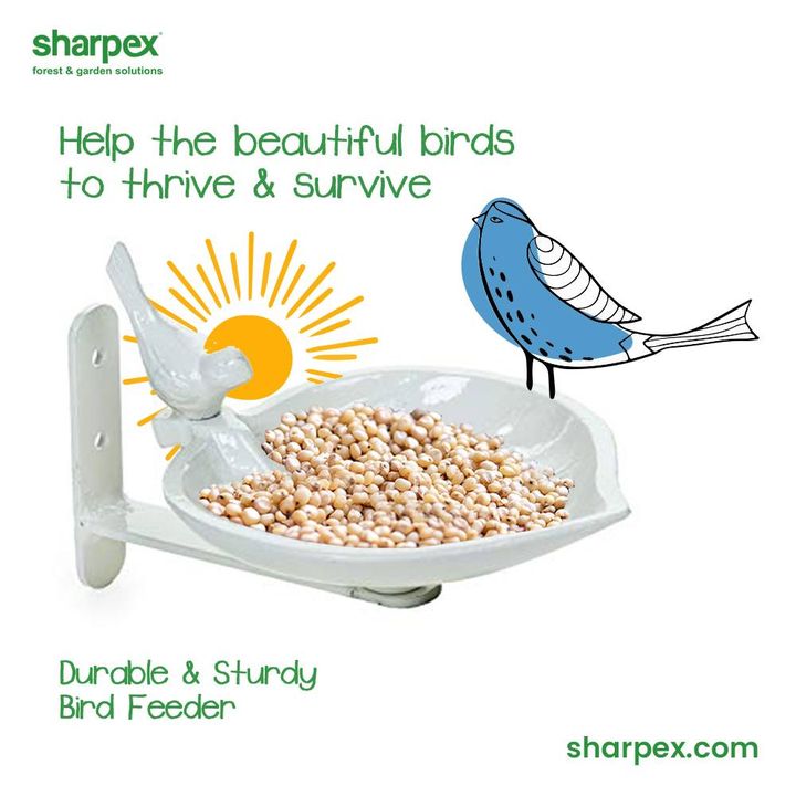 Kindness is a quality that defines the human-beings & also the essence of living. Be kind; help the beautiful birds to thrive and survive.

Take a look at the durable & sturdy bird-feeders available at Sharpex Garening And Community and buy them online.

#BirdFeeder #GardeningAccessories #GardeningTools #ModernGardeningTools #GardeningProducts #GardenProducts #Sharpex #SharpexIndia