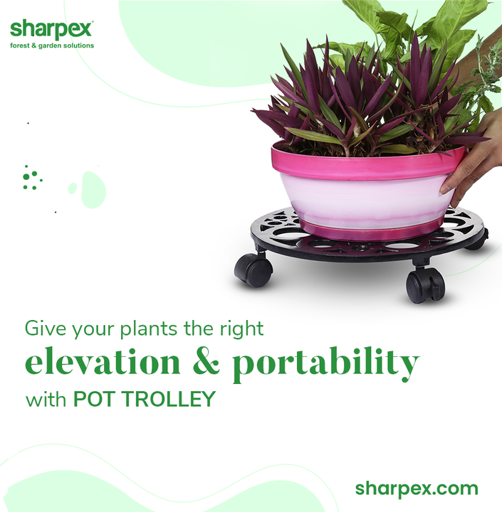 Your house should be clean, green and serene!

Embrace gardening as a hobby and give your plants the right kind of elevation and portability with the range of pot trolleys from Sharpex Gardening And Community.

#GardeningAccessories #GardeningTools #ModernGardeningTools #GardeningProducts #GardenProducts #Sharpex #SharpexIndia