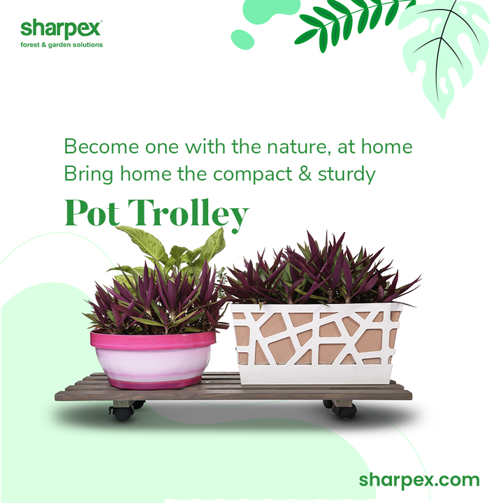 Be a gardener by choice & become one with nature at home with delight.

Bring home the compact and sturdy pot trolleys from Sharpex Gardening And Community.

#GardeningAccessories #GardeningTools #ModernGardeningTools #GardeningProducts #GardenProducts #Sharpex #SharpexIndia