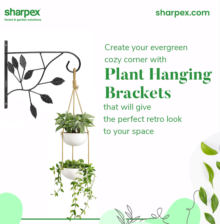 Seek for comfort and peace at home!

Create your evergreen cozy corner with plant hanging brackets from Sharpex Gardening And community that will give the perfect retro look to your space.

#GardeningAccessories #GardeningTools #ModernGardeningTools #GardeningProducts #GardenProducts #Sharpex #SharpexIndia