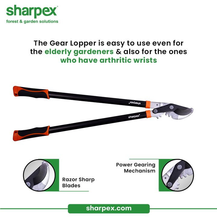 The possibilities of pruning get multiplied with gear lopper!

Sharing one more glimpse of the Sharpex Gear Lopper that is easy to use even for the elderly gardeners and also for the ones who have arthritic wrists.

#GardeningAccessories #GardeningTools #ModernGardeningTools #GardeningProducts #GardenProducts #Sharpex #SharpexIndia
