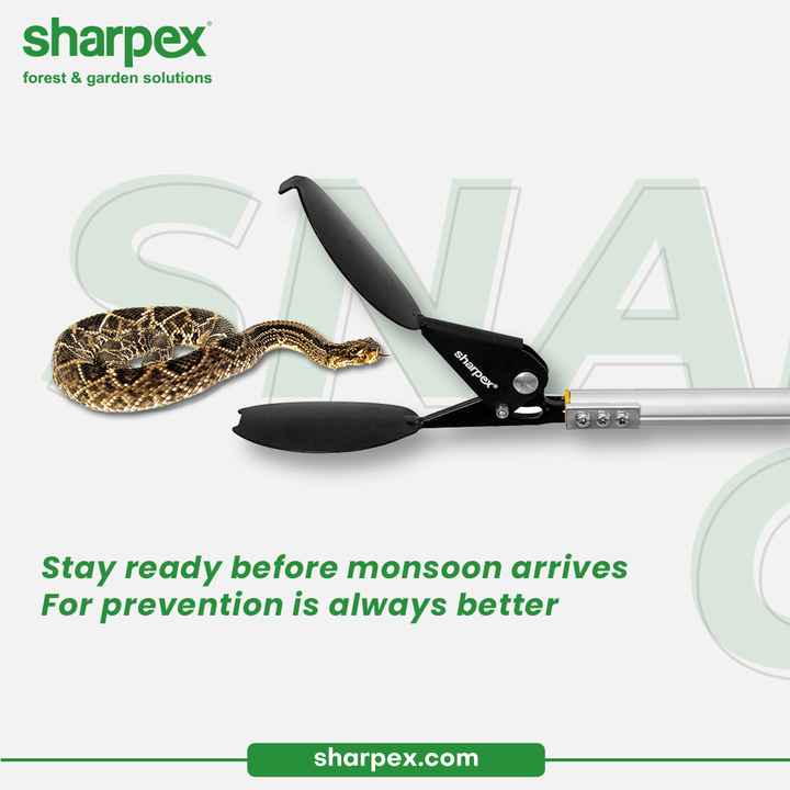 Stay ready before the monsoon arrives for prevention is always better!  

All you need to do is replace the fear of spotting snakes & let your garden be more child friendly with Sharpex snake-catcher that is durable and light in weight. The one of its kind product shall last for years & help you to keep snakes at bay.

#SharpexSnakeCatcher #SnakeCatcher #GardeningAccessories #GardeningTools #ModernGardeningTools #GardeningProducts #GardenProducts #Sharpex #SharpexIndia