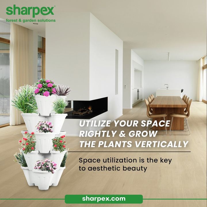 If you understand that space utilization is the key to aesthetic beauty then utilize your space rightly and grow the plants vertically.

#GardeningAccessories #GardeningTools #ModernGardeningTools #GardeningProducts #GardenProducts #Sharpex #SharpexIndia