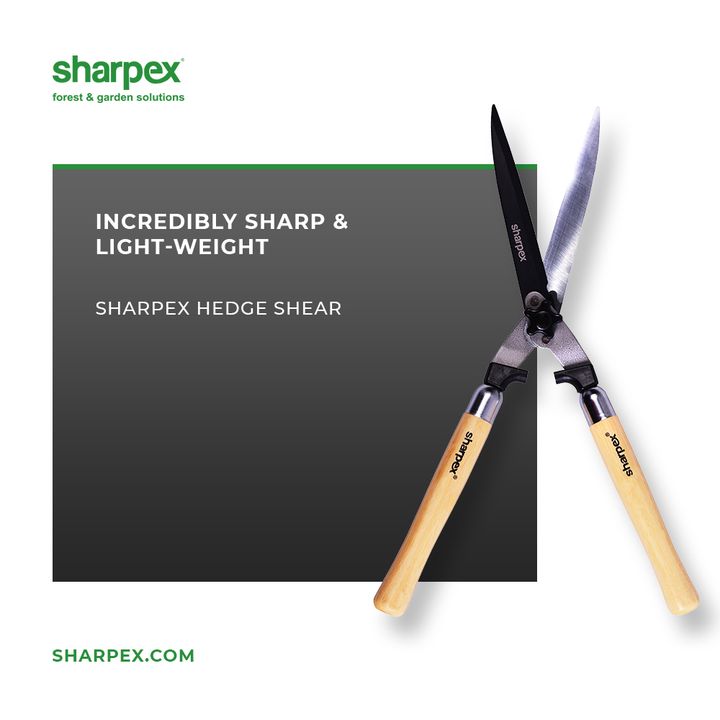 During the act of hedge trimming, hedges need to be lifted and hence for that reason lightweight hedge shears are more preferable. 

Sharpex Hedge Shears is incredibly sharp and light in weight.

#HedgeShear #SharpexHedgeShear #JoyOfGardening #GardeningAccessories #GardeningTools #ModernGardeningTools #GardeningProducts #GardenProducts #Sharpex #SharpexIndia