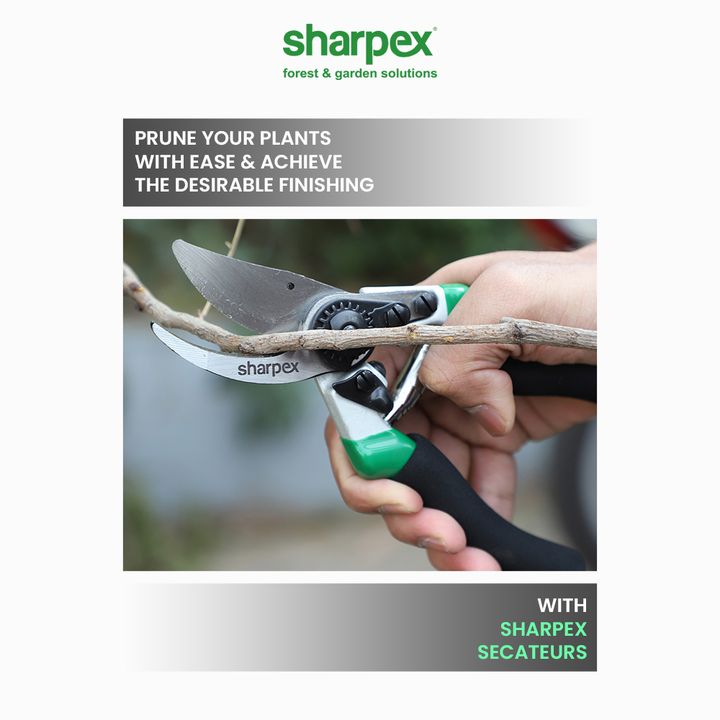 Prune your plants with ease and achieve the desirable finishing for them all with Sharpex Secateurs.

Place your order today!

 #GardeningAccessories #GardeningTools #ModernGardeningTools #GardeningProducts #GardenProducts #Sharpex #SharpexIndia