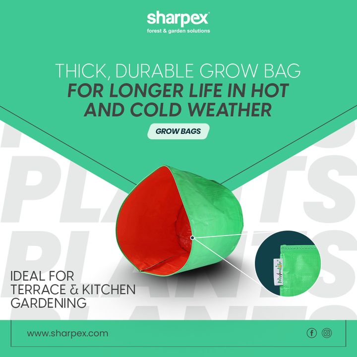 Sharpex grow bags are best choice for your terrace & kitchen gardening

A most reliable product for your gardening purpose.

#SharpexGrowBags #GardeningAccessories #GardeningTools #ModernGardeningTools #GardeningProducts #GardenProducts #Sharpex #SharpexIndia