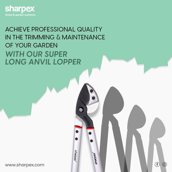 Take the hobby of gardening more seriously and think beyond the novice ways as an expert gardener.

Achieve professional quality in the trimming and maintenance of your garden with our Super Long Anvil Looper.

#SuperLongSharpexAnvilLooper #SharpexAnvilLooper #GardeningAccessories #GardeningTools #ModernGardeningTools #GardeningProducts #GardenProducts #Sharpex #SharpexIndia