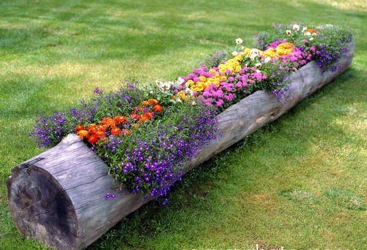 flower garden idea