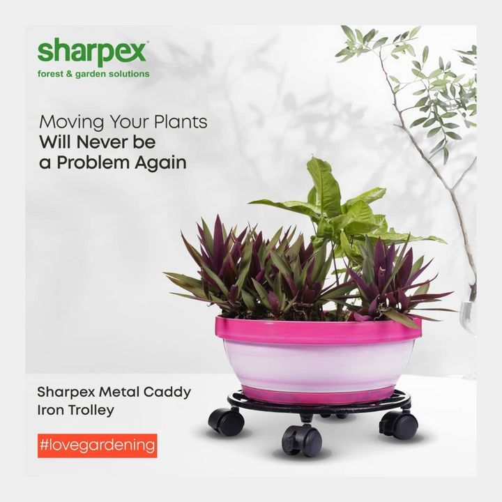 Moving plants-pots made from fibreglass, ceramic or terracotta - it can be a little difficult. Having a dedicated Metal Caddy Dolly for each of these planters - effectively solves this problem. A heavy duty gardening equipment by Sharpex is all that you need for your indoor plants. Sturdy built, elegant design and the ease of use - that’s what makes this product special. 

www.sharpex.com

#lovegardening #gardeninginindia #SharpexMetalCaddyIronDolly #sharpex
