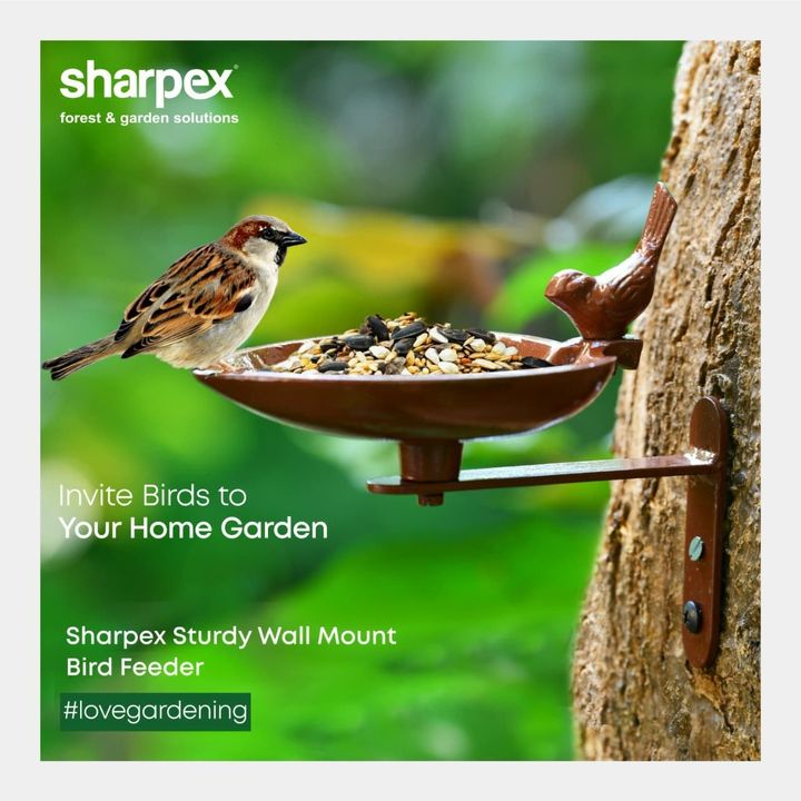 Having birds around is a great feeling, but do you know attracting birds to your home garden can help you with pest control and even pollination of your plants? Sturdy Wall Mount Bird Feeder by Sharpex can be mounted on Trees or even walls. Coated with anti-rust powder - this bird feeder is corrosion resistant. An addition to your home garden, that is worth having. Visit sharpex.com to buy this bird feeder now. 

www.sharpex.com

#lovegardening #gardeninginindia #birdfeeder #sharpex