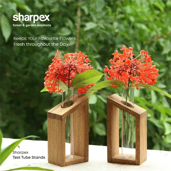 With an Elegant design of glass taste tube and wooden frame - this Test Tube Flower Bud Vase by Sharpex allows you to keep your flowers dipped in water - maintaining their freshness throughout the day. Attractive minimalistic design & high functionality in one product. Get this beautiful flower bud vase today by visiting www.sharpex.com  

#lovegardening #sharpex #flowerbudvase #gardeninginindia #joyofgardening