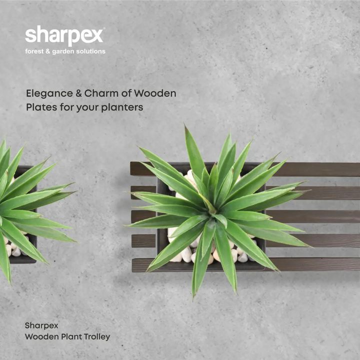 Sharpex Engineering,  sharpexindia, planttrolley, woodenplantrolley, gardendecor, homedecor, plants, GardeningAccessories