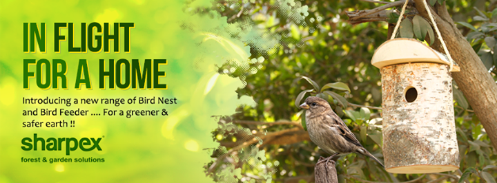 You can now buy Sharpex Bird Nest and Bird Feeder at our online store. Here is the link http://www.sharpexindia.com/product-category/accessories/