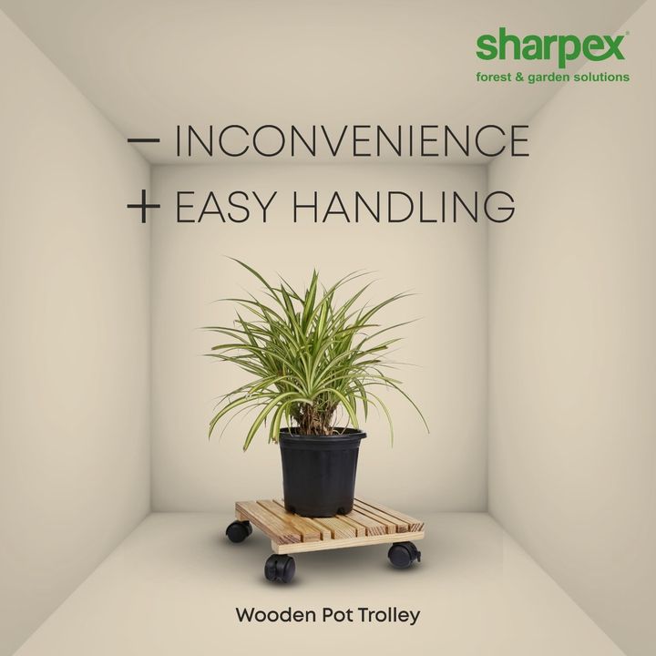 Built with elegant wooden plates, this Sharpex wooden trolley is a stylish way to host your favourite planters. Add a sense of style while you arrange your plants/planters. Visit www.sharpex.com and explore from series of our trolley options.

#sharpex #lovegardening #gardeingenthusiastsinindia #sharpexwoodentrolley #gardendecor #gardentool #highqualityproduct #sharpexindia