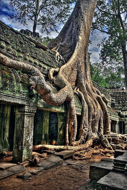 Cambodia, Angkor Wat Temple